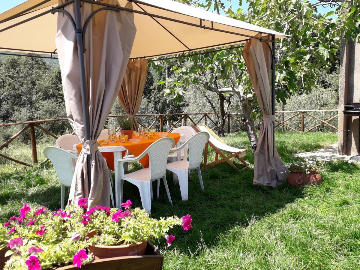 Alle Preci Country House Santa Restituta Экстерьер фото
